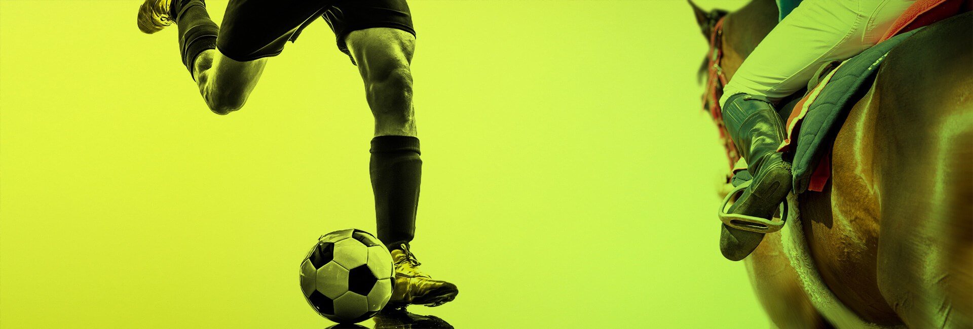 Horse Racing - Football Betting - Automatic Systems Ltd